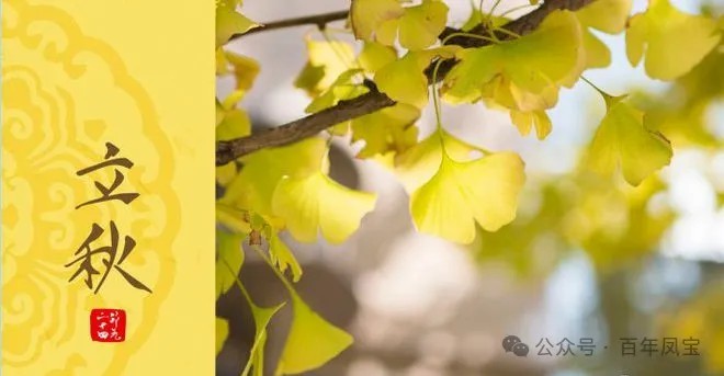 二十四节气|立秋